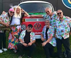 Image result for Easi-RockIts