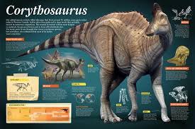 Bildergebnis für corythosaurus