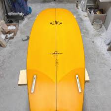 Image result for Aloha Sailboards