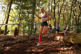 Image result for Lincoln Wellington Ac