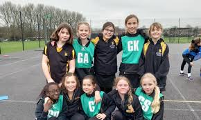 Image result for Wyvern Ladies Netball Club