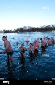 Image result for Serpentine Swimming Club