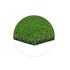Image result for Astroturf