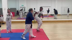 Image result for Utf Jaguar Tkd