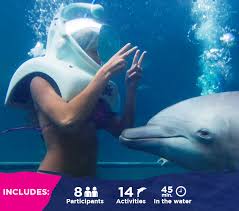 Image result for Durley Dolphin Diver