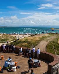 Image result for Pwllheli Sailing Club Ltd