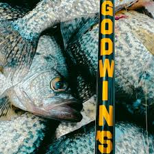 Image result for John Godwin's Hamilton Martial Arts