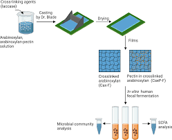 Attēlu rezultāti vaicājumam “Enteridium variabile macro”