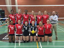 Image result for Tendring Volleyball Club