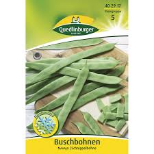 Image result for Buschbohnen
