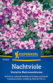 Attēlu rezultāti vaicājumam “Hesperis matronalis”