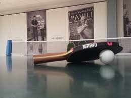 Image result for Pavilion Table Tennis Club