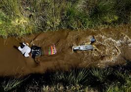 Image result for Bog Snorkelling Championships