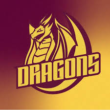Image result for Dragons Badminton Club