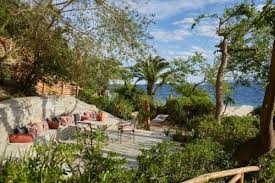 Image result for Palace Eagles Octopush Club