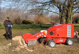 Image result for fsi tehron