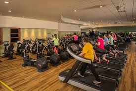 Image result for The Gym Centre & The Cheltenham School Of Gym