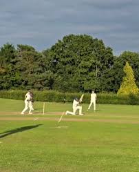Image result for Buxted Park Cricket Club