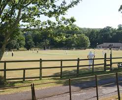 Image result for Buscot Park Cricket Club