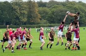 Image result for Chiswick Rugby Club