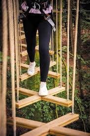Image result for Go Ape! Leeds Castle