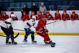 Image result for Streatham Redskins