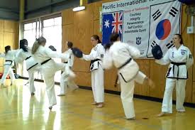 Image result for English International Allstyles Taekwon-Do