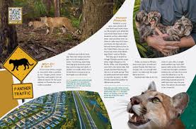 Image result for Pentland Panthers