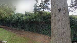 Image result for Sanshukan Kendo Club