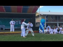 Image result for Silat Perisai Diri Classes Club