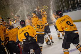 Image result for Chelmsford Chieftains