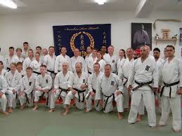 Image result for Cobra Karate Club