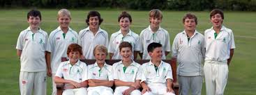 Image result for Effingham Cricket Club