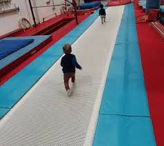 Image result for Lynx Gymnastics Club
