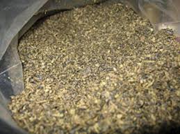 SALVIA POLVERE