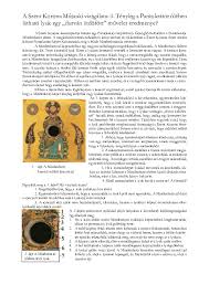 Image result for szent korona pantokrátor