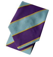 Image result for Chiddingfold Branch Of The Pony Club