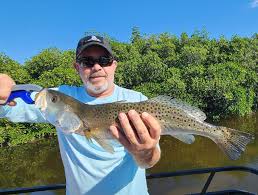 Image result for Cynoscion nebulosus