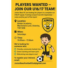 Image result for Brendon Bees Junior Football Club