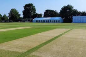 Image result for Ipswich Cricket Club