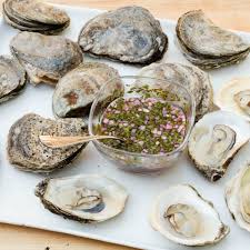 Image result for Clams