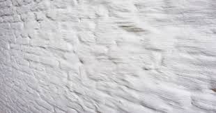 Image result for kaleien