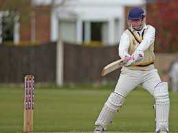 Image result for Pontarddulais Cricket Club
