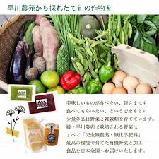 Image result for ごきぶりのピューレ