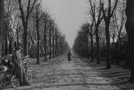 Image result for the third man