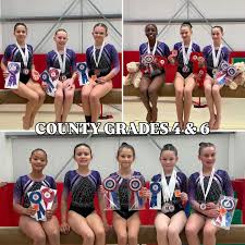 Image result for South Essex Gymnastics Club