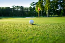 Image result for Kedal Golf Club