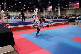 Image result for Park Place Olympic Tkd