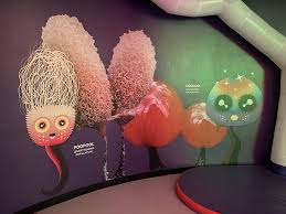 Attēlu rezultāti vaicājumam “Enerthenema papillatum spores”