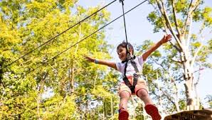 Image result for Go Ape! Alice Holt